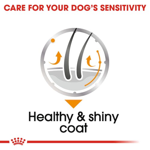 Royal Canin - Coat Care Dog Wet Food 85g
