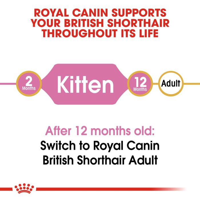 Royal Canin - British Shorthair Kitten Dry Food 2kg
