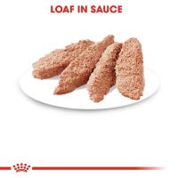Royal Canin - Instinctive Adult Cat Loaf 85g