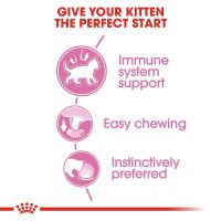 Royal Canin - Kitten Loaf 85g