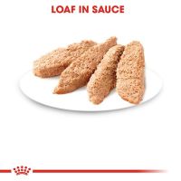 Royal Canin - Kitten Loaf 85g