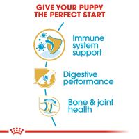 Royal Canin - German Shepherd Puppy Dry Food 12kg