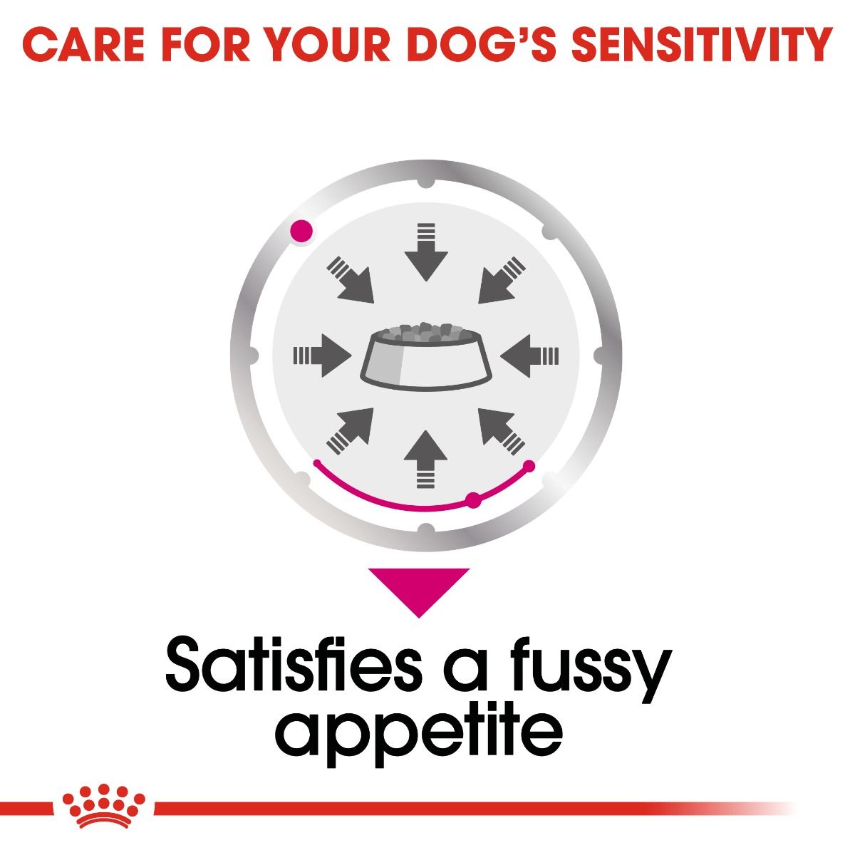 Royal Canin - Exigent Adult Dog All Sizes Loaf 85g