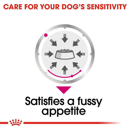 Royal Canin - Exigent Adult Dog All Sizes Loaf 85g