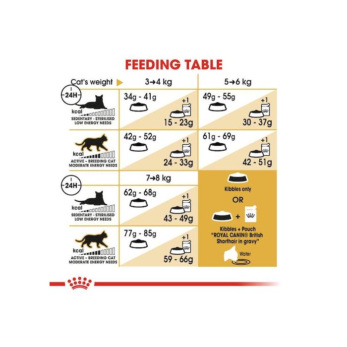 Royal Canin - British Shorthair Adult Cat Dry Food