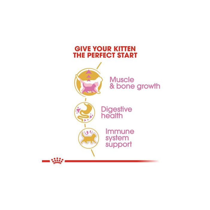 Royal Canin - British Shorthair Kitten Dry Food 2kg