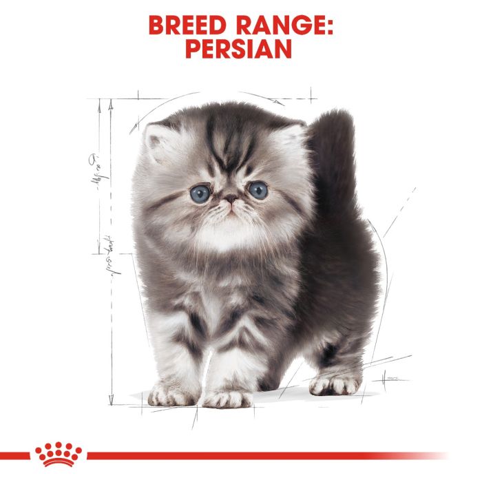 Royal Canin - Persian Kitten Dry Food