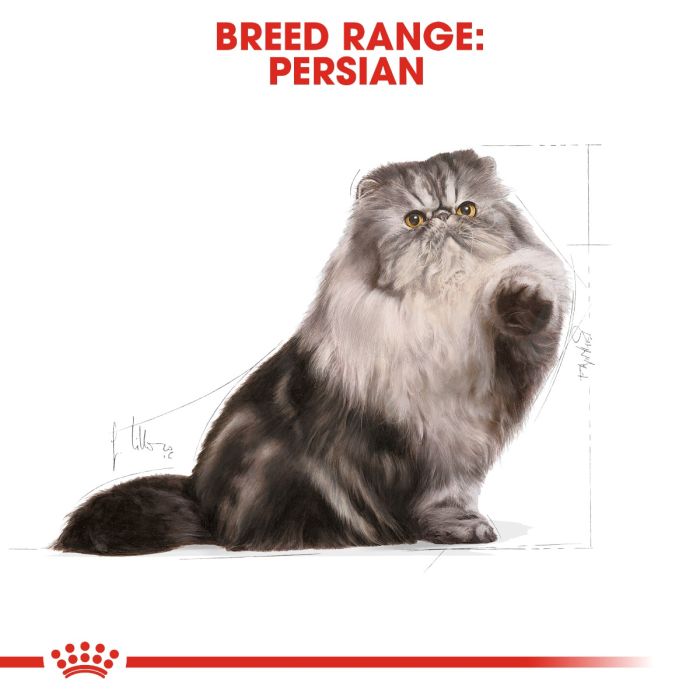 Royal Canin - Persian Adult Cat Dry Food