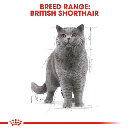 Royal Canin - British Shorthair Adult Cat Gravy 85g