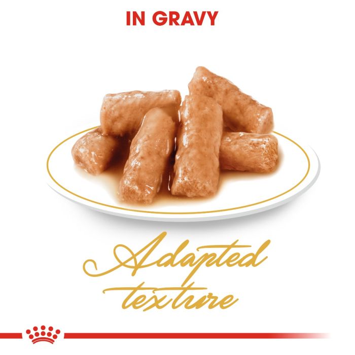 Royal Canin - British Shorthair Adult Cat Gravy 85g