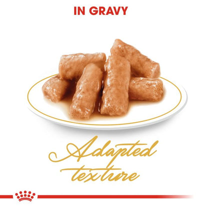 Royal Canin - British Shorthair Adult Cat Gravy 85g