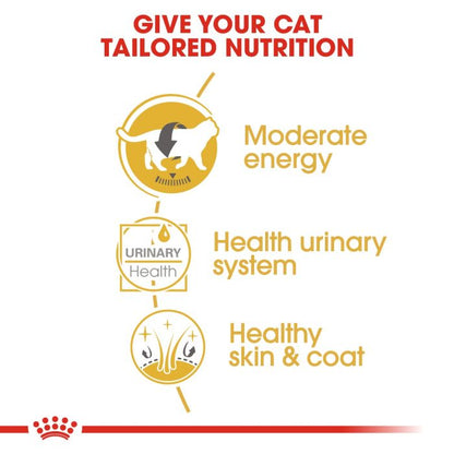 Royal Canin - British Shorthair Adult Cat Gravy 85g