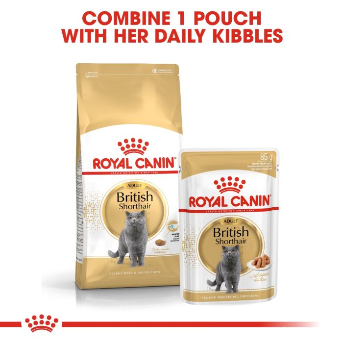 Royal Canin - British Shorthair Adult Cat Gravy 85g