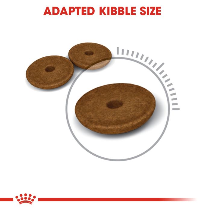 Royal Canin - Digestive Care Adult Cat Dry Food 2kg
