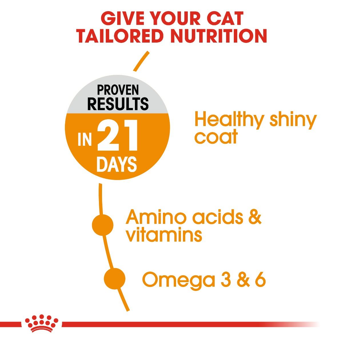 Royal Canin - Hair And Skin Care Cat Dry Food