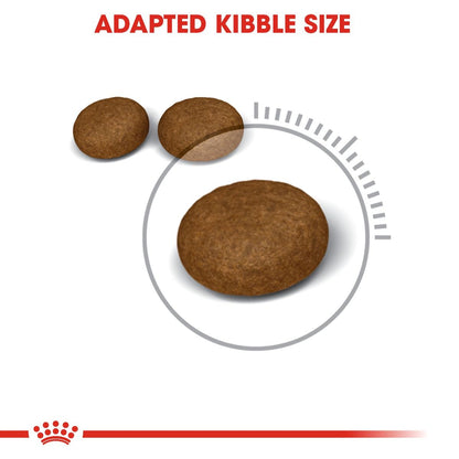 Royal Canin - Hair And Skin Care Cat Dry Food