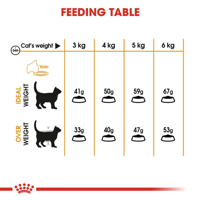 Royal Canin - Hair And Skin Care Cat Dry Food