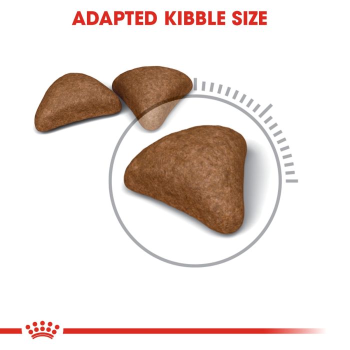 Royal Canin - Hairball Care Cat Dry Food