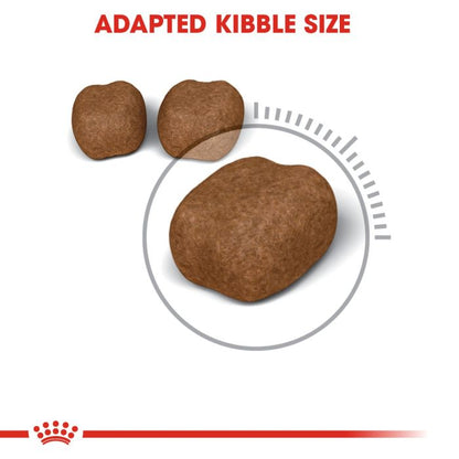 Royal Canin - Dental Care Adult Cat Dry Food 1.5kg