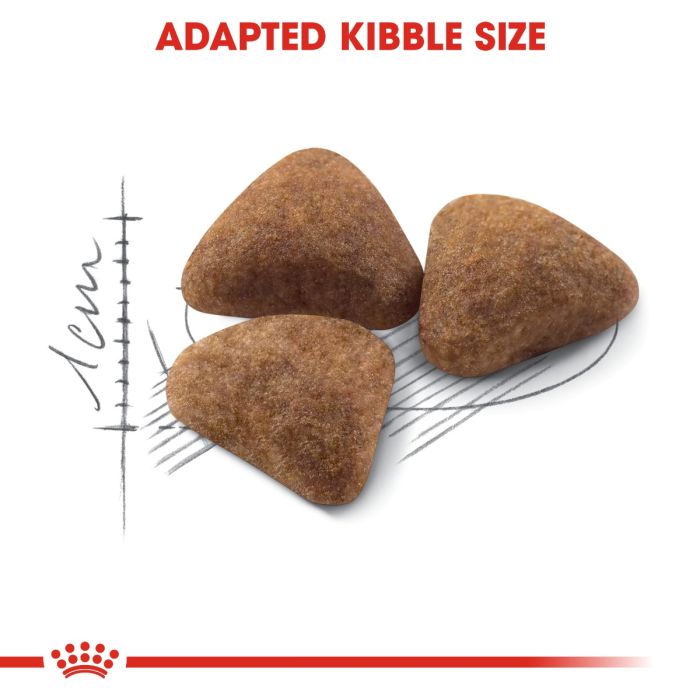 Royal Canin - Indoor 27 Adult Cat Dry Food