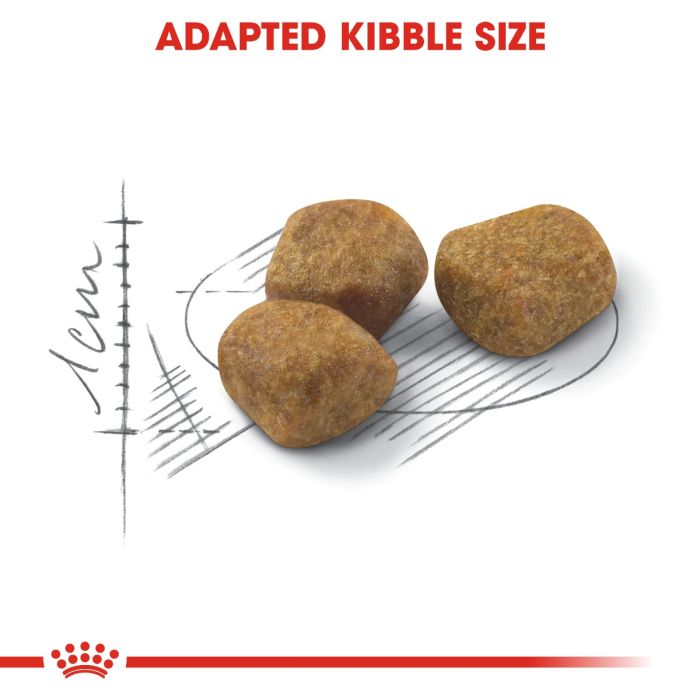 Royal Canin - Indoor 7+ Cat Dry Food 1.5kg
