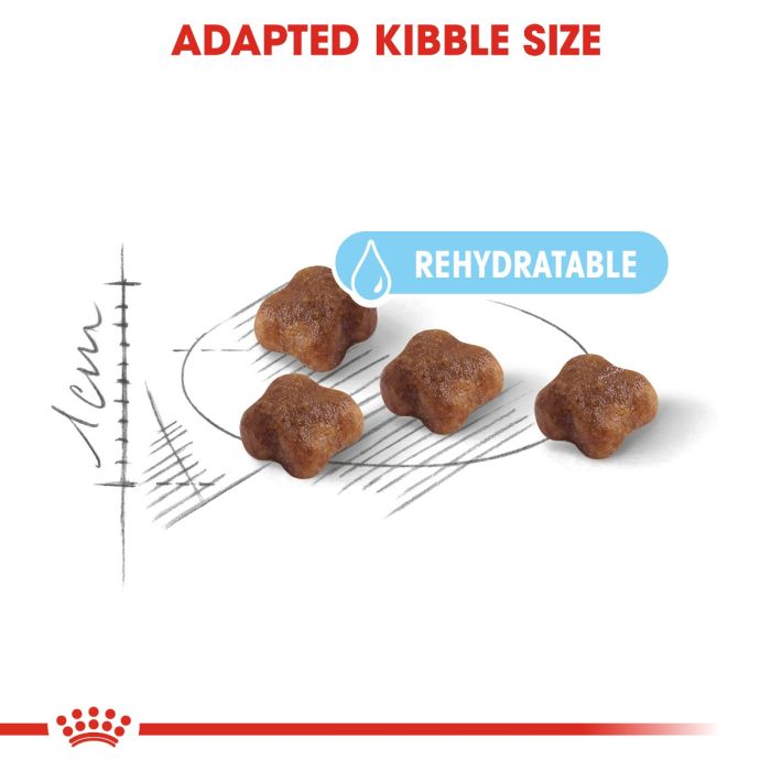 Royal Canin - Mother & Babycat Dry Cat Food