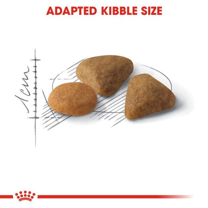 Royal Canin - Savour Exigent Adult Cat Dry Food
