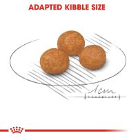 Royal Canin - XSmall Adult Dog Dry Food 1.5kg