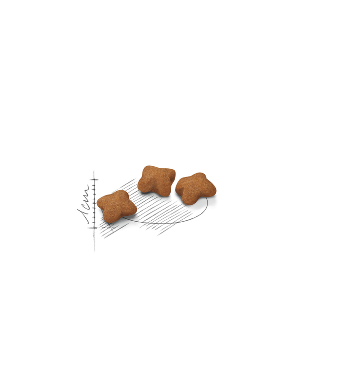 Royal Canin - Sterilised Kitten Dry Food 2kg