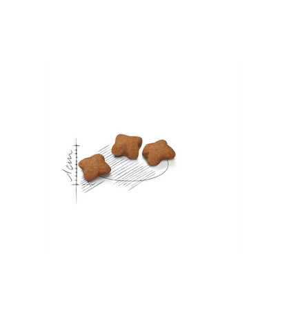 Royal Canin - Sterilised Kitten Dry Food 2kg