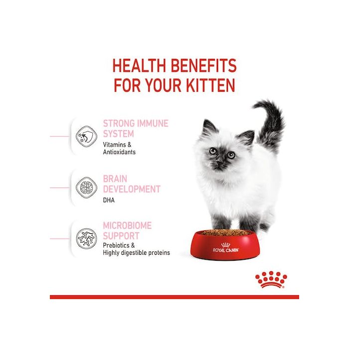 Royal Canin - FHN Kitten Dry Food