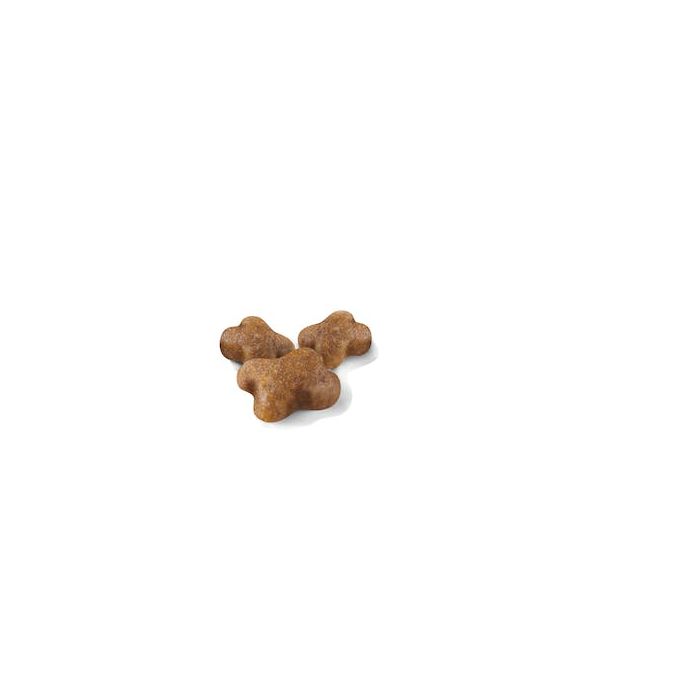 Royal Canin - FHN Kitten Dry Food